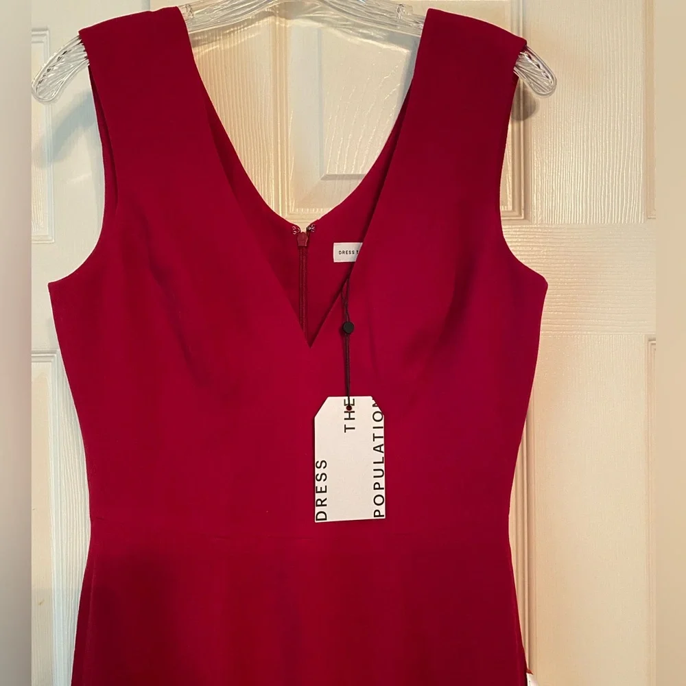 Dress the Population Sandra Plunging V-Neck Sleeveless Crepe Gown - Picture 2 of 6